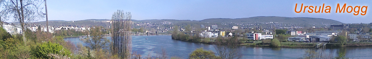 Moselpanorama